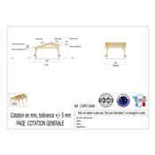 Abri 2 pentes Faitage Décalé Bois Douglas France Carport Auvent voiture 500x400cm H 250cm