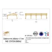 Abri 2 pentes Faitage Décalé Bois Douglas France Carport Auvent voiture 600x1150cm H 250cm