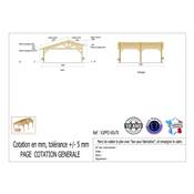 Abri 2 pentes Faitage Décalé Bois Douglas France Carport Auvent voiture 650x700cm H 250cm