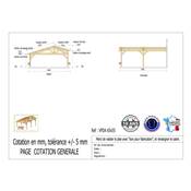 Abri 2 pentes Faitage Décalé Adossé Bois Douglas France Carport Auvent voiture 650x550cm H 250cm