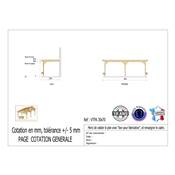 Abri Toit Plat Adossé Bois Douglas France Carport Auvent voiture 300x700cm H 250cm