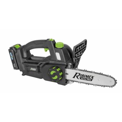 Tronçonneuse élagueuse pro R-BAT20 20v avec batterie 2amp et chargeur