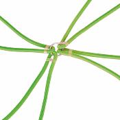 Araignée tendeurs élastique maintient 8 bras 8mm x 80cm
