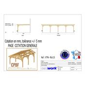 Abri carport Toit Plat Adossé, Bois DOUGLAS Français