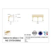 Abri 1 pente Adossé Bois Douglas France Carport Auvent voiture 300x600cm H 250cm