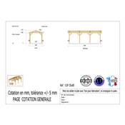 Abri 2 pentes Bois Douglas France Carport Auvent voiture 350x800cm H 250cm