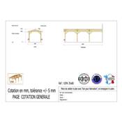 Abri 2 pentes Adossé Bois Douglas France Carport Auvent voiture 350x800cm H 250cm