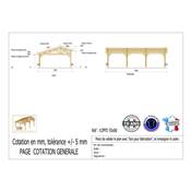 Abri 2 pentes Faitage Décalé Bois Douglas France Carport Auvent voiture 550x800cm H 250cm