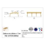 Abri 2 pentes Faitage Décalé Bois Douglas France Carport Auvent voiture 600x1050cm H 250cm
