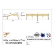 Abri 2 pentes Faitage Décalé Bois Douglas France Carport Auvent voiture 650x1150cm H 250cm