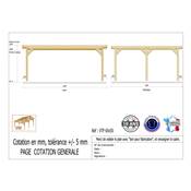 Abri Toit Plat Bois Douglas France Carport Auvent voiture 650x500cm H 250cm