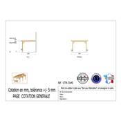 Abri Toit Plat Adossé Bois Douglas France Carport Auvent voiture 350x400cm H 250cm