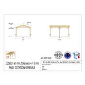 Abri 2 pentes Bois Douglas France Carport Auvent Camping-car 550x700cm H 320cm