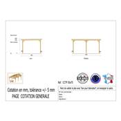 Abri Toit Plat Bois Douglas France Carport Auvent Camping-car 500x750cm H 320cm