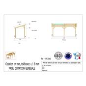 Abri 1 pente Bois Douglas France Carport Auvent voiture 350x600cm H 250cm