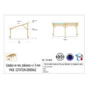 Abri 1 pente Bois Douglas France Carport Auvent voiture 400x550cm H 250cm