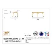 Abri 2 pentes Bois Douglas France Carport Auvent voiture 300x700cm H 250cm