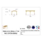 Abri 2 pentes Bois Douglas France Carport Auvent voiture 400x500cm H 250cm