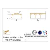 Abri 2 pentes Adossé Bois Douglas France Carport Auvent voiture 600x1050cm H 250cm