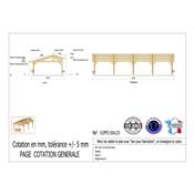 Abri 2 pentes Faitage Décalé Bois Douglas France Carport Auvent voiture 500x1250cm H 250cm
