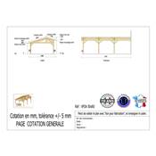 Abri 2 pentes Faitage Décalé Adossé Bois Douglas France Carport Auvent voiture 500x800cm H 250cm