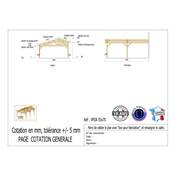 Abri 2 pentes Faitage Décalé Adossé Bois Douglas France Carport Auvent voiture 550x700cm H 250cm