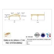 Abri 2 pentes Faitage Décalé Adossé Bois Douglas France Carport Auvent voiture 650x650cm H 250cm
