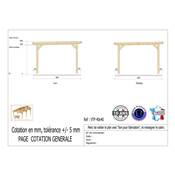 Abri Toit Plat Bois Douglas France Carport Auvent voiture 400x400cm H 250cm