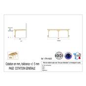 Abri Toit Plat Adossé Bois Douglas France Carport Auvent voiture 400x500cm H 250cm