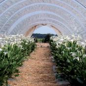 Bâche de protection 4x6 m 160 g/m2