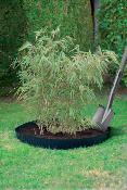 GEOROOT PRO Noir - Ep : 1 mm hauteur 1 x 25 ml