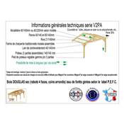 Abri 2 pentes Adossé Bois Douglas France Carport Auvent voiture 300x400cm H 250cm