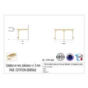 Abri Toit Plat Adossé Bois Douglas France Carport Auvent Camping-car 350x650cm H 320cm