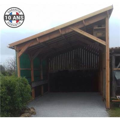 Abri 1 pente Bois Douglas France Carport Auvent voiture 350x800cm H 250cm