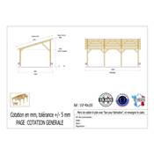 Abri 1 pente Bois Douglas France Carport Auvent voiture 400x1050cm H 250cm