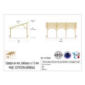 Abri 1 pente Bois Douglas France Carport Auvent voiture 500x950cm H 250cm