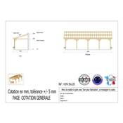 Abri 1 pente Adossé Bois Douglas France Carport Auvent voiture 350x1250cm H 250cm