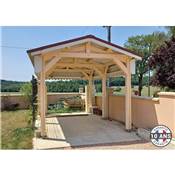 Abri 2 pentes Bois Douglas France Carport Auvent voiture 350x450cm H 250cm