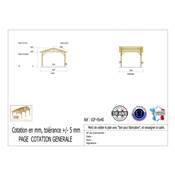 Abri 2 pentes Bois Douglas France Carport Auvent voiture 450x400cm H 250cm
