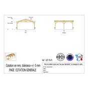 Abri 2 pentes Bois Douglas France Carport Auvent voiture 750x700cm H 250cm