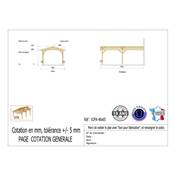Abri 2 pentes Adossé Bois Douglas France Carport Auvent voiture 400x650cm H 250cm