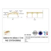 Abri 2 pentes Faitage Décalé Adossé Bois Douglas France Carport Auvent voiture 650x800cm H 250cm
