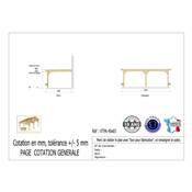 Abri Toit Plat Adossé Bois Douglas France Carport Auvent voiture 400x650cm H 250cm