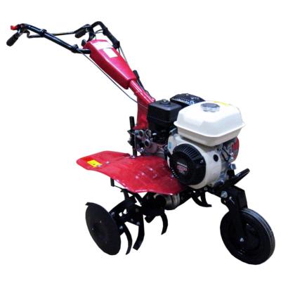 Motoculteur motorisé TM-500H2R, -1,0,+1,+2  MOTEUR HONDA GP-160 CAMPEON