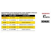 Motopompe liquides spéciaux 162 cc AY-H 50 PK liquides corrosifs