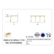 Abri Toit Plat Adossé Bois Douglas France Carport Auvent Camping-car 500x800cm H 320cm