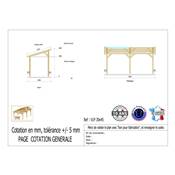Abri 1 pente Bois Douglas France Carport Auvent voiture 300x450cm H 250cm