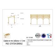 Abri 1 pente Bois Douglas France Carport Auvent voiture 300x800cm H 250cm