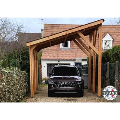 Abri 1 pente Bois Douglas France Carport Auvent voiture 450x650cm H 250cm