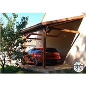 Abri 1 pente Adossé Bois Douglas France Carport Auvent voiture 350x750cm H 250cm